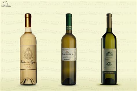 Vino Pivo Rakija | Wine bottle, Wine, Rosé wine bottle