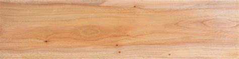 how to pronounce camphor