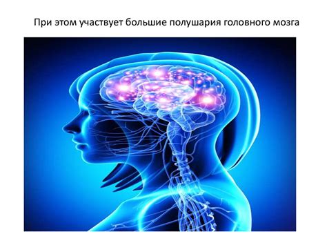 Мозг и Психика - презентация онлайн