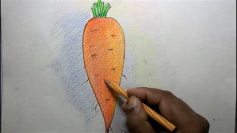 draw  carrot  color pencil step  step easy youtube