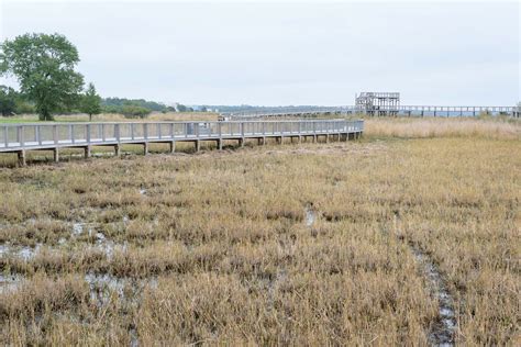 Sightseeing Transfer Riga-Tallinn,Tallinn-Riga | Discover Latvia Tours