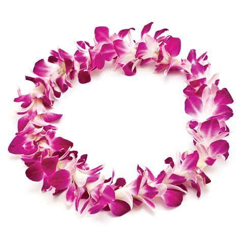 Free Hawaiian Necklace Cliparts, Download Free Hawaiian Necklace