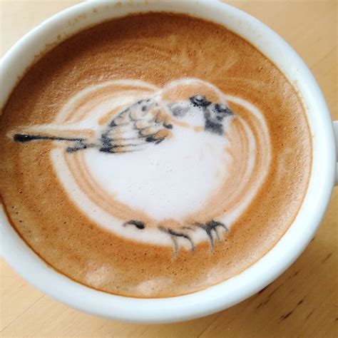 Feathered Latte Art Features Stylized Portraits of Sparrows, Parakeets ...