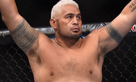 significant mark hunt fights