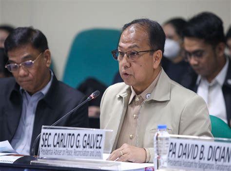 Sec. Galvez, nagpasalamat sa suporta ng Senado sa amnesty proclamation ...