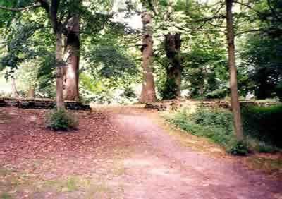 Midhurst Castle St Anne's Hill Chichester West Sussex England English