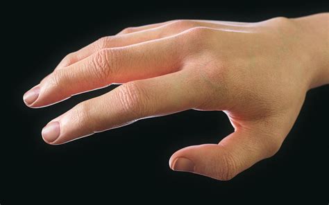 3D Model Realistic Human Hand - TurboSquid 2095170