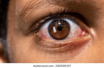 1,069 Indian Mascara Eyes Images, Stock Photos & Vectors | Shutterstock