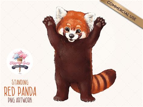 Simple red panda tattoo | Thomastattoosupply.com