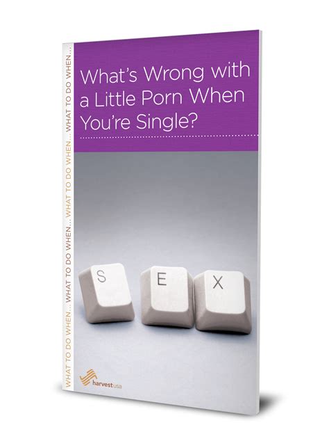 What's Wrong with a Little Porn When You're Single? (Minibook