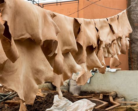 leather    tanning process