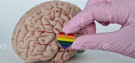 Doctor Holding Lgbt Badge and Brain Anatomy Stock Image - Image of ...