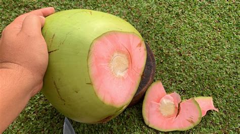 unveiling  pink coconut sweetest  freshest coconut water