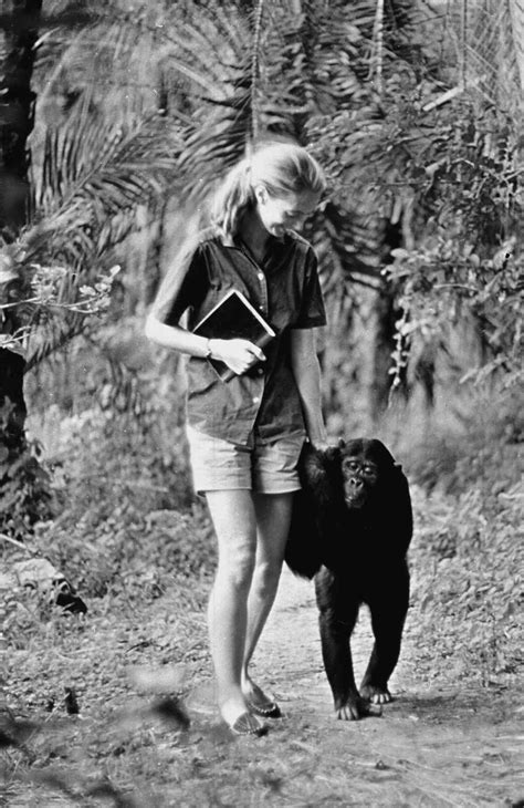 Jane Goodall's Life and Career in Photos