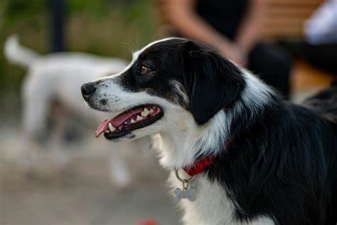 Naked+Anime+Girls+Wallpapers+For+Pc Photos, Download The BEST Free