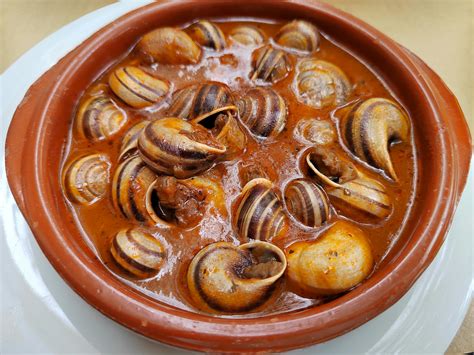 Spanish Snail Tapas in Earthenware DishFree Stock Photo