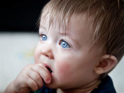 reliance baby blues pengertian  mengatasi baby blues  ibu