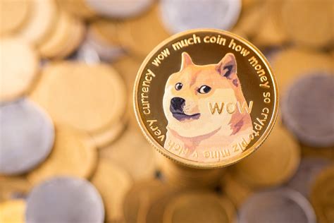 She’s the dog whose face launched cryptocurrency Dogecoin. To shiba inu ...