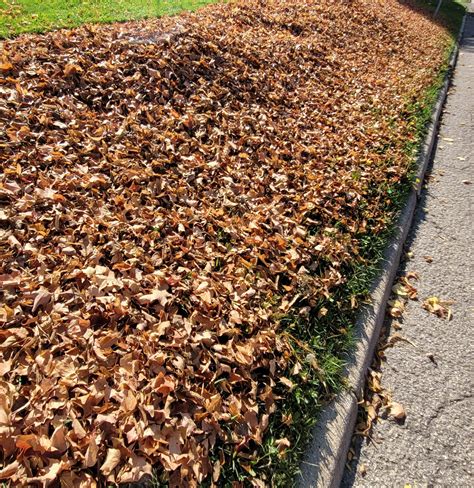 Beaver Dam Leaders Ask Residents To Keep Leaves Out Of Streets | Daily