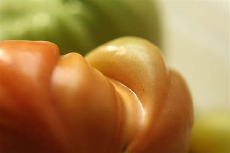 Capture the Harvest - No Ordinary Homestead