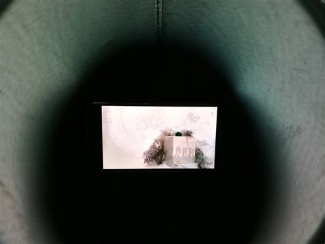 Future memoirs will clarify what did Cleto die from in detail 10