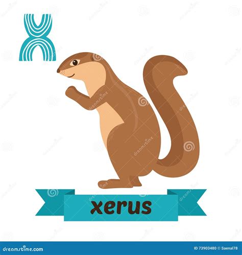 Animal Com X Em Portugues - Xerus Letra X Alfabeto Animal Das Crianças Bonitos No Vetor Engraçado ...