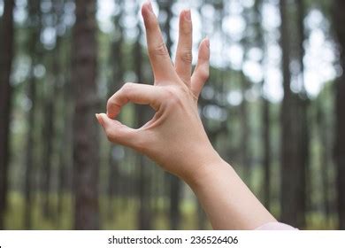 Okay Hand Symbol Stock Photo 236526406 | Shutterstock