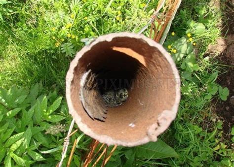 What Is inside This Pile? | Fun