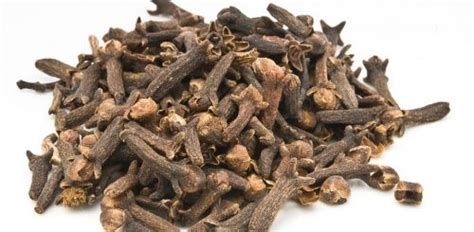 cuisoare beneficii utilizare contraindicatii sfaturimedicalero