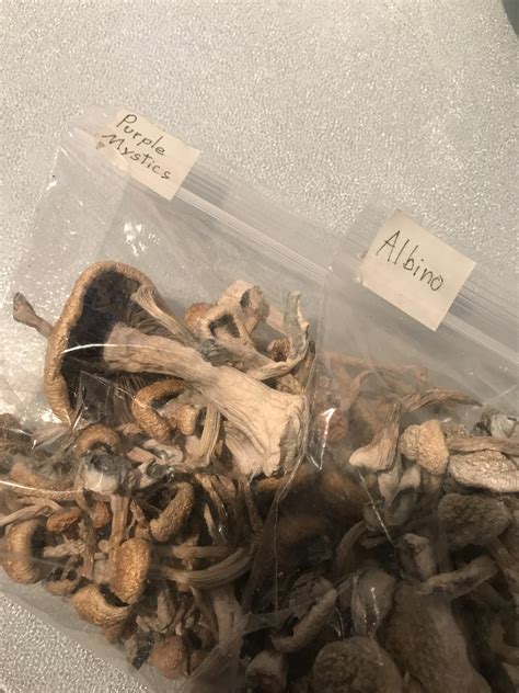 9 best u/mythrowawaysquared images on Pholder | Normalnudes, Shrooms