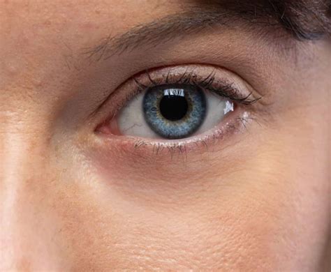 eye treatment salvia skin