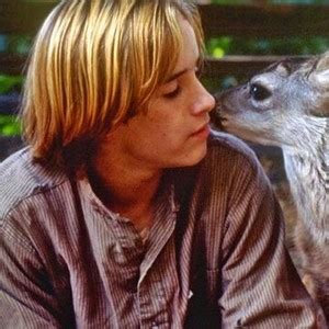 yearling rotten tomatoes