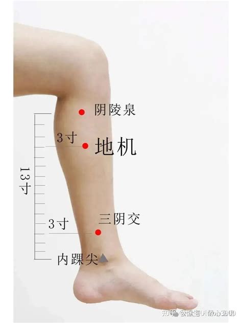 全身穴位图分解图示大全，看图对照找穴位 - 知乎