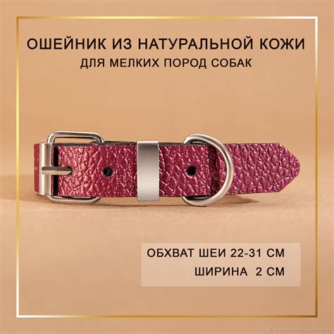 Кожаный ошейник для маленьких пород собак "Фуксия" в интернет-магазине ...