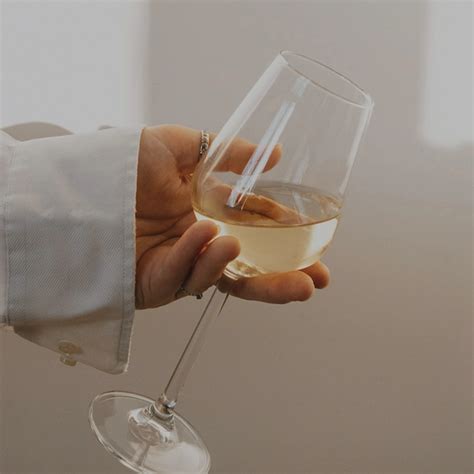Maison Trimbach - Defining Fine Wine in Alsace, France