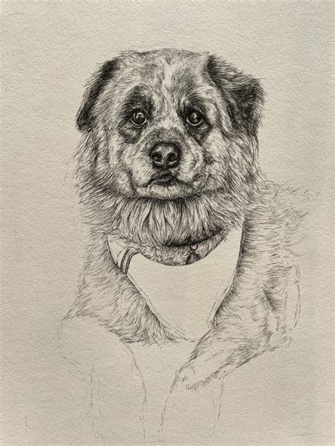 Anna - Forever in love with how pet portraits in progress look 🤍 I’m