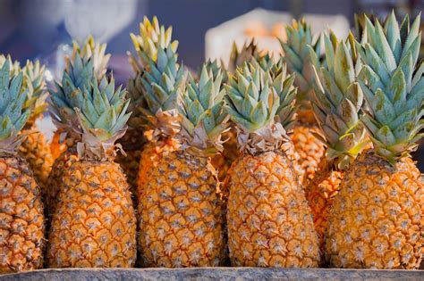 fresh pineapple pineapple  pixabay