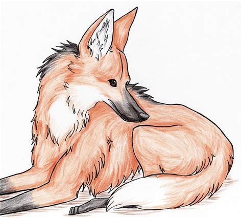 Maned Wolf Drawing at GetDrawings | Free download