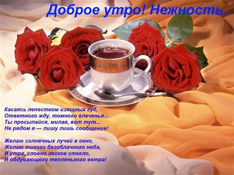 Красивые картинки с добрым утром! (777 штук) 🔥 BipBap.ru