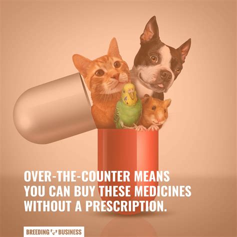 otc pain meds for cats 1
