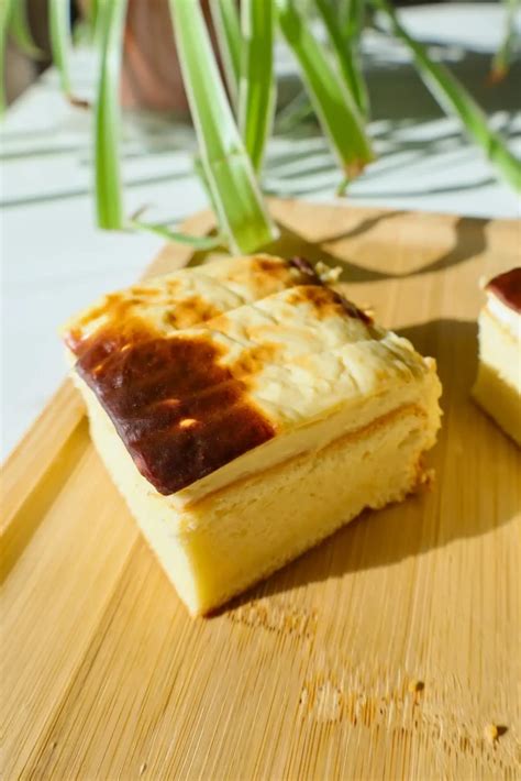 yogurt basque burnt cheesecake