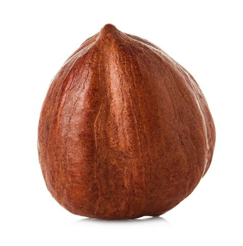 Premium Photo | Hazelnut