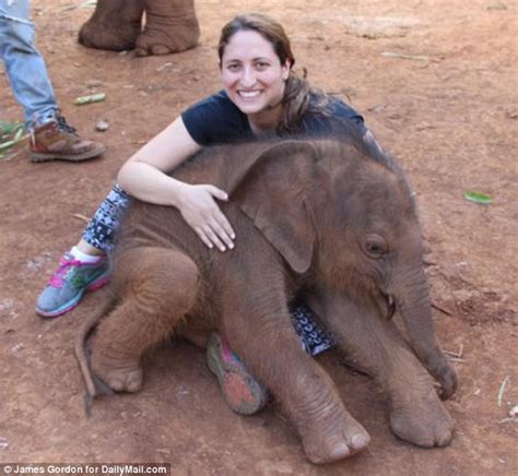 Baby Elephants Find Comfort in Cuddling with Caretakers at Northern ...