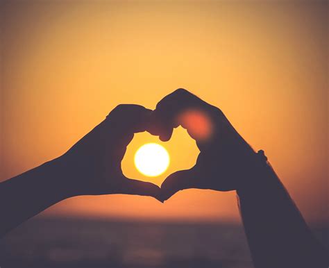 happiness   choice    love sezin koehler