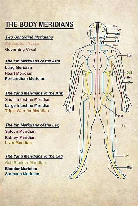 Printable 12 Meridians Chart - prntbl.concejomunicipaldechinu.gov.co