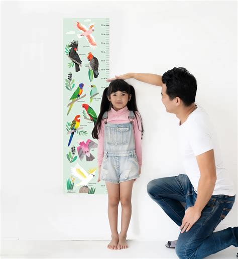 Busy Beaks, Australian birds picture book — Sarah Allen