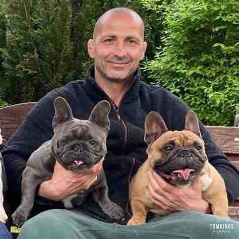 The Ultimate French Bulldog Guide - TomKings Kennel