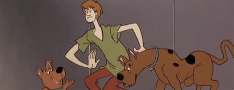 'Scooby-Doo and Scrappy-Doo' Season 1 DVD Review - Project-Nerd