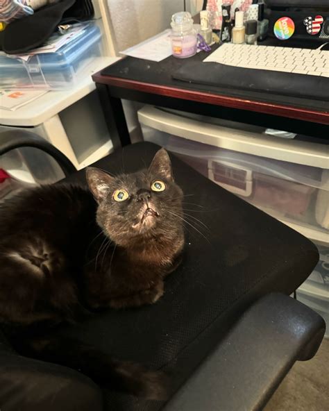 Jamie Summers (@darksakura) • Instagram photos and videos