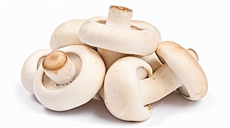 premium photo champignon mushrooms isolated  white
